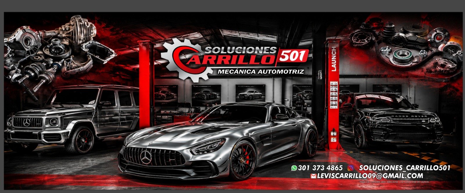 SOLUCIONES CARRILLO 501